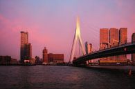 Rotterdam skyline van Helga van de Kar thumbnail