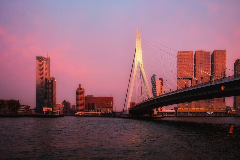 Rotterdam skyline von Helga van de Kar