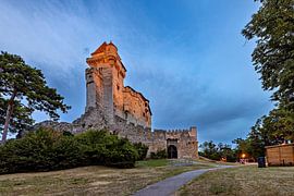 Liechtenstein Castle by Roland Brack