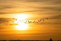 Durch der Sonne!