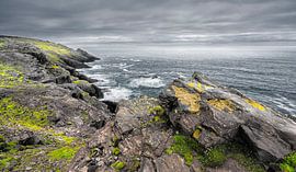 1420 Isle of Wight by Adrien Hendrickx