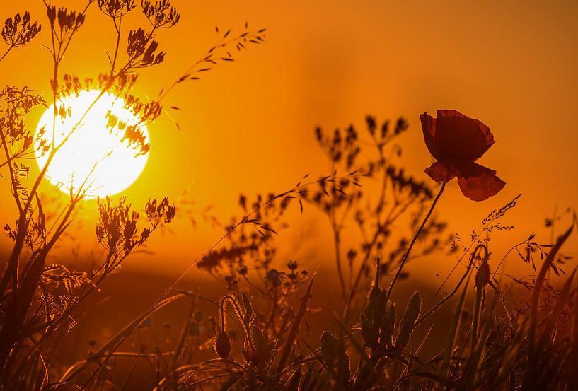 Zonsondergang boven de berm. von Michel Knikker