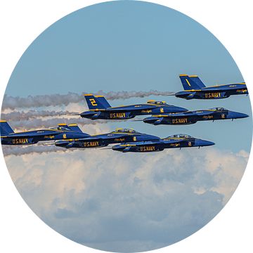 Navy Flight Demonstration Squadron Blue Angels.