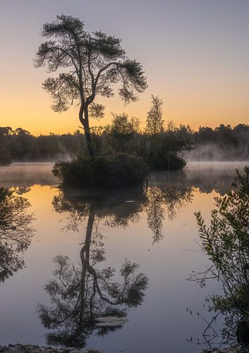 Oisterwijkse vennen part 6
