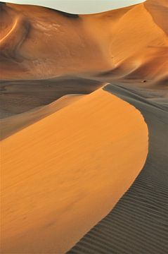 Zandduinen in Namibië van Esther van der Linden