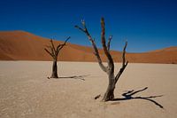 Sossusvlei, Namibie