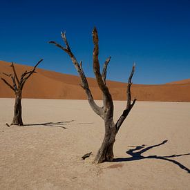 Sossusvlei, Namibie van Marco Verstraaten