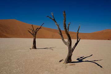 Sossusvlei, Namibie van Marco Verstraaten