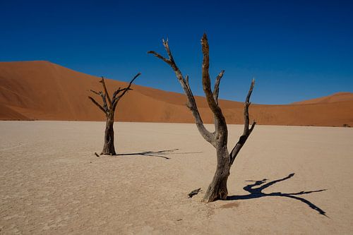 Sossusvlei, Namibie sur Marco Verstraaten