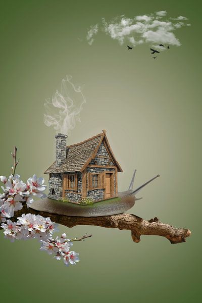 The Snail house by Ursula Di Chito