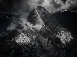 Rote Saule (zwartwit) sur menno visser