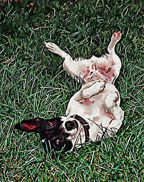 Upside Down Jack Russell Terrier by Dorothy Berry-Lound