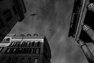 De vogels rond het Pantheon Rome BNW van Martijn Jebbink Fotografie