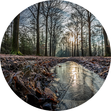Genieten van een frisse ochtend met een heerlijke zon
