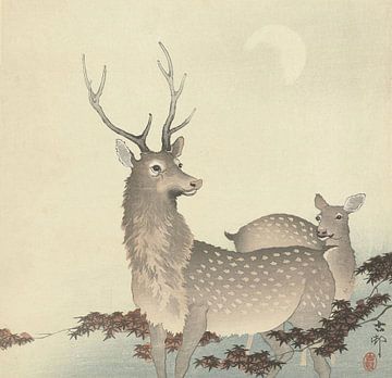 Ohara Koson - Zwei Hirsche (bearbeitet) von Peter Balan