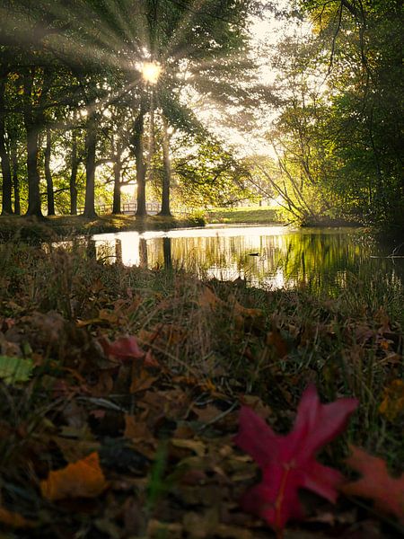 autumn 29 by snippefotografie