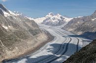 Glacier d'Aletsch par Sander de Jong Aperçu