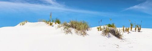 WHITE SANDS Panorama idyllique sur Melanie Viola