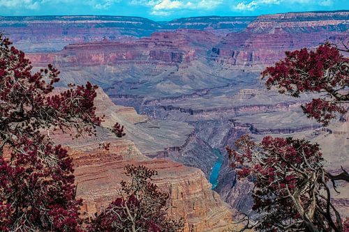 De Coloradorivier stroomt door de Grand Canyon