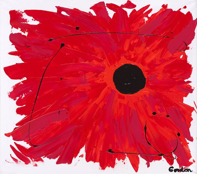 24 Vigour 1 My Enthusiastic Declaration Of Love by ANTONIA PIA GORDON