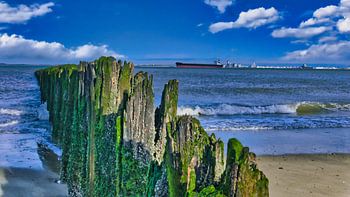 Breakwater and container ship