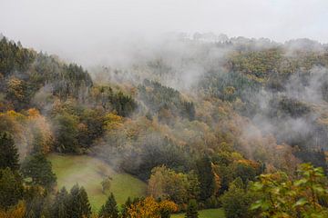 Autumn with fog in the mountains by Dieter Ludorf