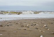 Golven aan strand met schelpen van Moniek van Rijbroek thumbnail