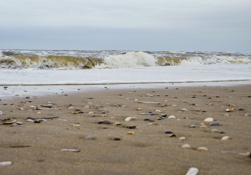 Wellen am Strand mit Muscheln von Moniek van Rijbroek