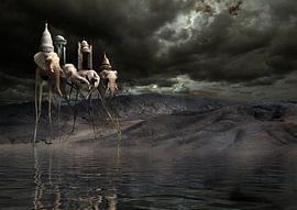 waterfront elephants by Dray van Beeck