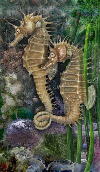 Kurzschnäuziges Seepferdchen, Hippocampus hippocampus von Urft Valley Art