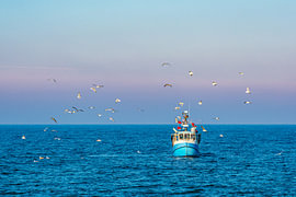Fischerboot mit Möwen auf der Ostsee vor Warnemünde