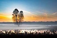 Rollender Nebel im Abendlicht