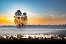 Rolling fog in evening light by Dieverdoatsie Fotografie