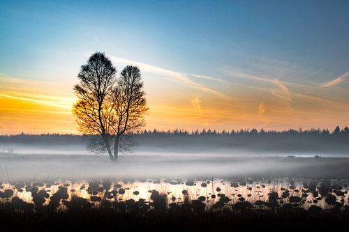 Rollende mist bij avondlicht