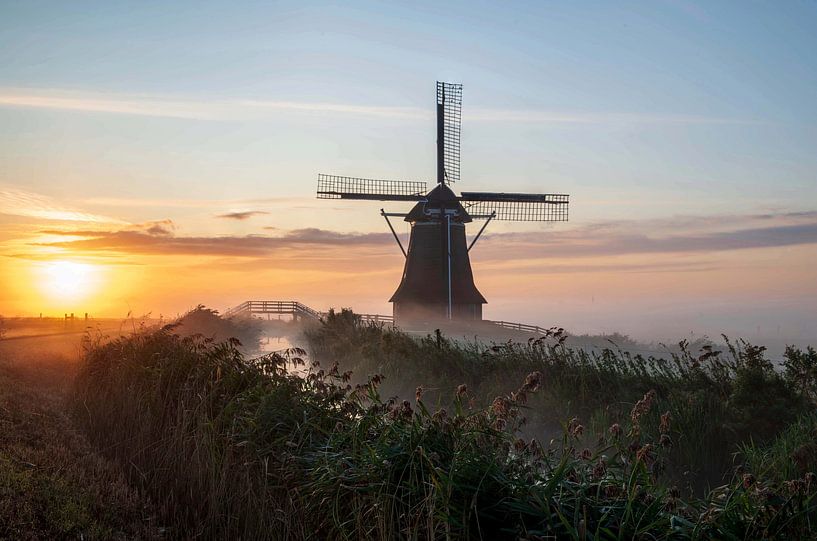 friese molen van Marcel Hof