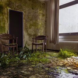 Stoel der overname natuur. van Het Onbekende