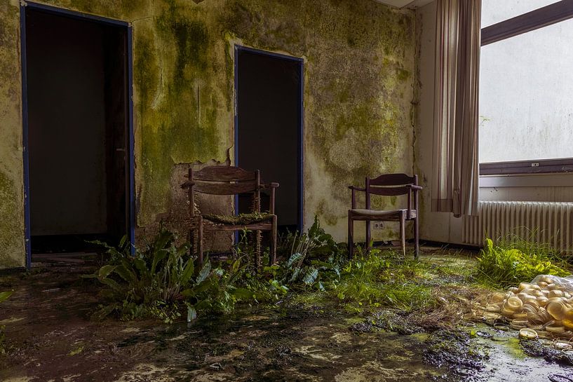 Chaire de nature d'acquisition. par Het Onbekende