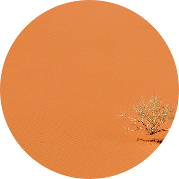 De Wadi Rum woestijn in Jordanië. van Claudio Duarte