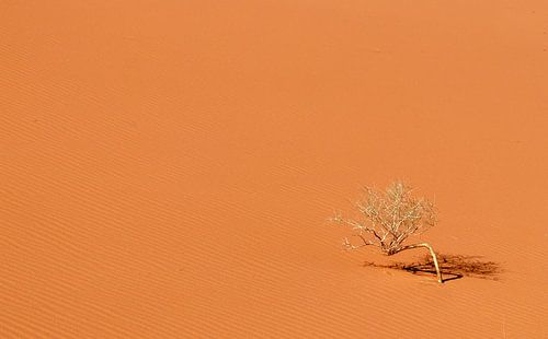 De Wadi Rum woestijn in Jordanië.