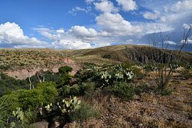 Hiking in Spring Canyon