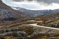 Straße durch Norwegen von Menno Schaefer Miniaturansicht