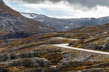 Road at Norway in autumn