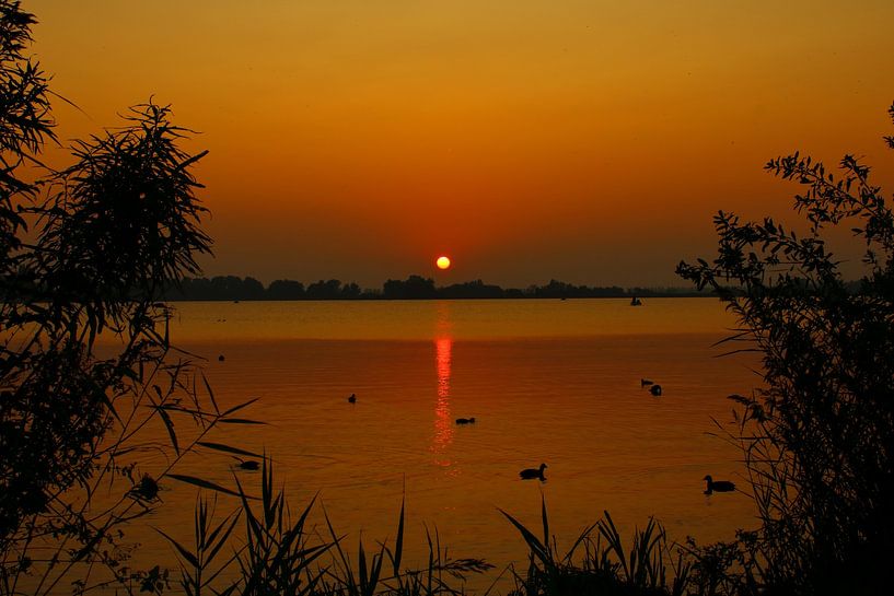 Sunset by Samira Geerdinck