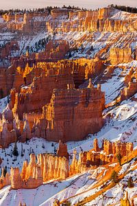 Wintersonnenaufgang im Bryce Canyon N.P., Utah