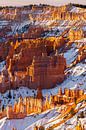 Wintersonnenaufgang im Bryce Canyon N.P., Utah von Henk Meijer Photography Miniaturansicht