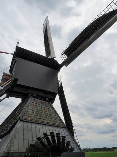 Windmill at kinderdijk
