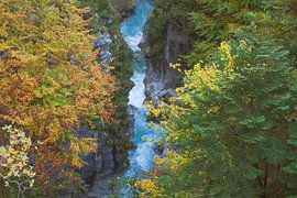 Leutasch Gorge in Autumn by Torsten Krüger
