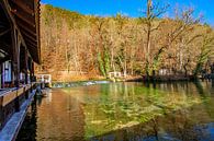 Baden-Württemberg : De Blautopf met historische hamermolen van Photoart-Naegele thumbnail