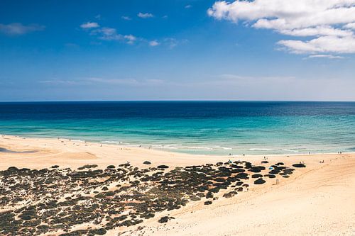 Playa de Sotavento, Fuerteventura II | Paysage | Photographie de voyage