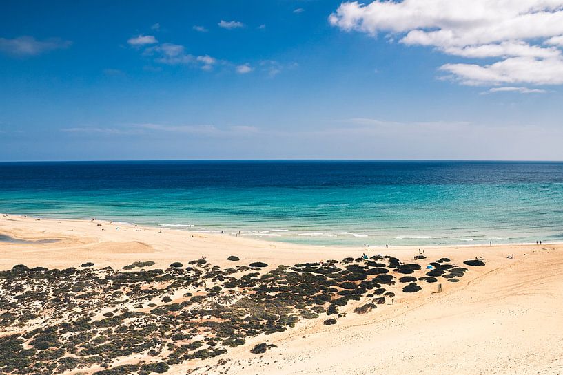 Playa de Sotavento, Fuerteventura II | Landschap | Reisfotografie van Daan Duvillier | Dsquared Photography